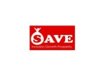 Logo Save Solutions