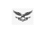Logo Eagle 4SS