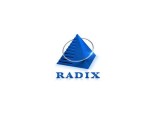Radix E- Solutions Pvt Ltd