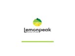 Lemon Peak Marketing Services