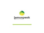 Lemon Peak Marketing Services