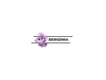 Logo Bergenia Consultancy Services