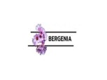 Bergenia Consultancy Services Pvt Ltd