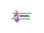 Logo Bergenia Consultancy Services Pvt Ltd